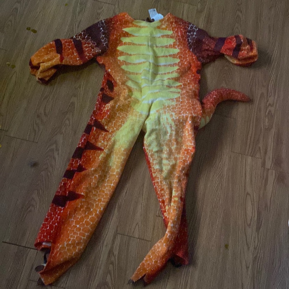 Dino costume